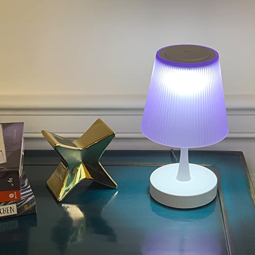TW Lighting Purple Lamp for Girls Bedrooms - Modern Small Table Lamp for Bedroom, Bedside Nightstand, Nursery, Cute Kids Lamp with USB Charging Port, 3-Level Touch Dimmable Switch