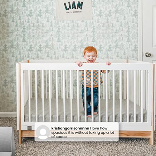 Delta Children babyGap Tate 4-in-1 Convertible Crib - Greenguard Gold Certified, Bianca White/Natural