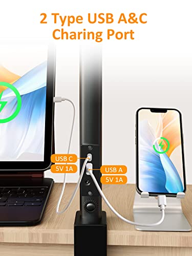 Desk Lamp for Home Office, Eye-Caring LED Desk Lamp with USB C+A Charging Port, Architect Desk Light 5 Lighting 5 Brightness, Flexible Gooseneck Clamp for Reading Study