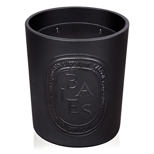 Diptyque Baies Indoor/Outdoor Ceramic Candle-51.3 oz, Large (B1500xx)