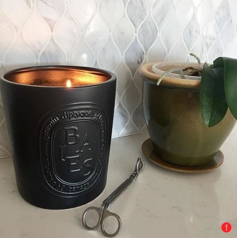 Diptyque Baies Indoor/Outdoor Ceramic Candle-51.3 oz, Large (B1500xx)