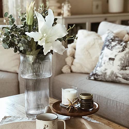 YANWE1 Ribbed Glass Vase, Clear Glass Vase, Flower Vase for Centerpieces, Tall Vase, Large Glass Vase, Modern Vase for Living Room, Dining Table, Entryway, Mantle, Shelf, Wedding, Office, 11.5 Inches