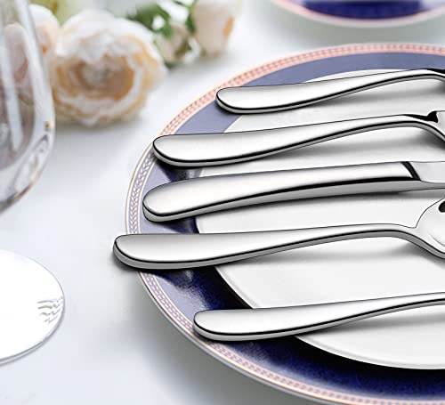 LIANYU 65-Piece Heavy Duty Silverware Set with Serving Utensils, Stainless Steel Flatware Set for 12, Thick Cutlery Eating Utensils Include Fork Knife Spoon, Mirror Finished, Dishwasher Safe