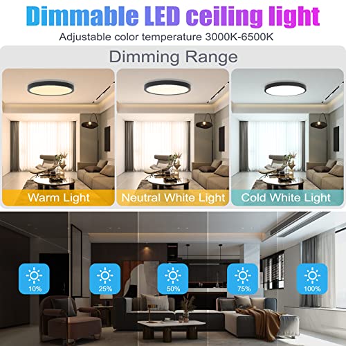 KEPLUG Flush Mount Ceiling Light 12Inch,24W RGB Ceiling Light Fixture with Remote Control Bluetooth App,Dimmable Led Ceiling Light 3000K-6500K,Round Close to Ceiling Lights Bedroom Kitchen Hallway