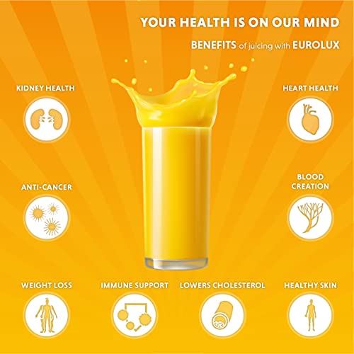 Stainless Steel Electric Citrus Juicer Squeezer