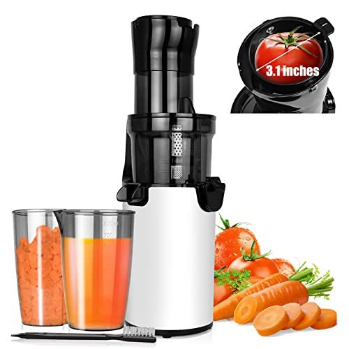 LynTorin Cold Press Juicer Machine, Compact Slow Masticating Juicer with 3.1" Wide Feed Chute, Slow Juicer Extractor for Fruit and Vegetable, Easy Clean Slow Juicer Cold Press for Home Use with Brush & Cups