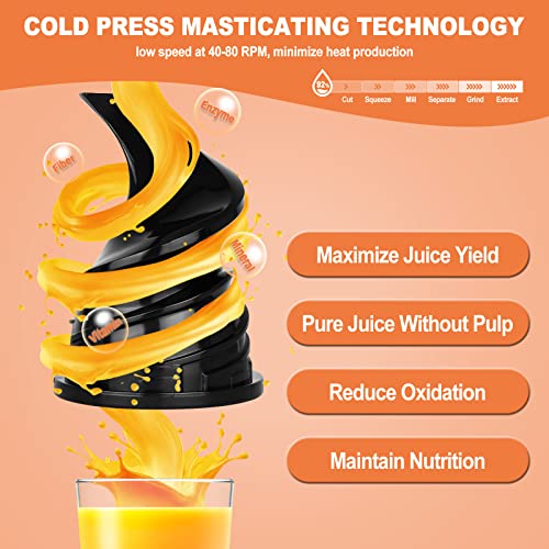 LynTorin Cold Press Juicer Machine, Compact Slow Masticating Juicer with 3.1" Wide Feed Chute, Slow Juicer Extractor for Fruit and Vegetable, Easy Clean Slow Juicer Cold Press for Home Use with Brush & Cups