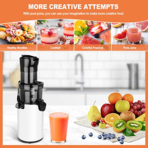 LynTorin Cold Press Juicer Machine, Compact Slow Masticating Juicer with 3.1" Wide Feed Chute, Slow Juicer Extractor for Fruit and Vegetable, Easy Clean Slow Juicer Cold Press for Home Use with Brush & Cups