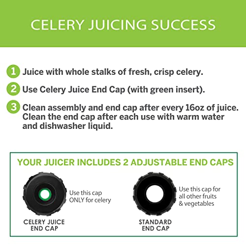 Omega MM900HDS Masticating Juicer, Cold Press Juicer Machine For Celery with Adjustable Dial, 200-Watts, Silver