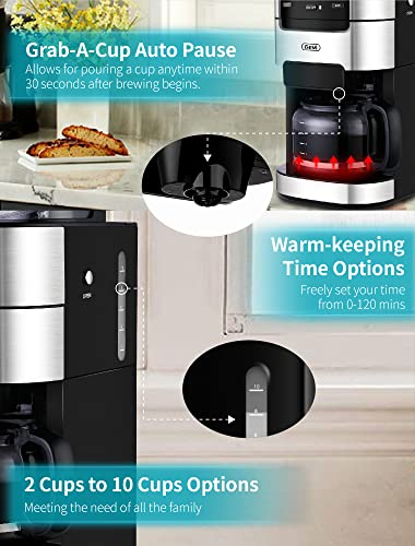 10-Cup Drip Coffee Maker, Grind and Brew Automatic Coffee Machine with Built-In Burr Coffee Grinder, Programmable Timer Mode and Keep Warm Plate, 1.5L Large Capacity Water Tank