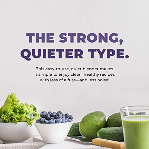 Powerful 3HP 1800-Watt Commercial Blender