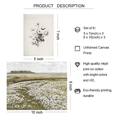 Vintage Botanical Wall Art Set of 6 Prints