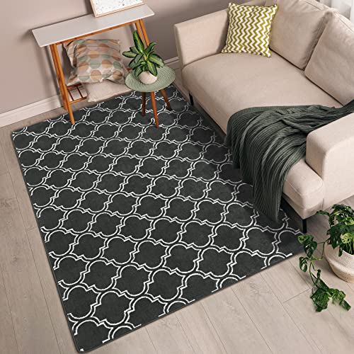 Modern Geometric Shag Area Rug 4x6 Feet