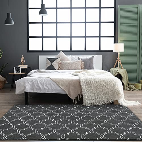 Modern Geometric Shag Area Rug 4x6 Feet