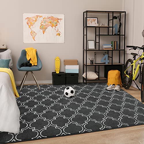 Modern Geometric Shag Area Rug 4x6 Feet
