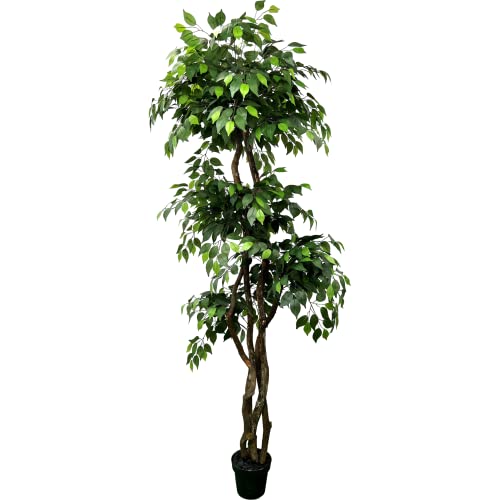 6.5' Ficus Tree - Fake Tree - Large Faux Plants Indoor - Tall Artificial Plants with Realistic Silk Leaves for Indoor Home Decor or Office - Handmade by Cypress & Alabaster with Real Wood Trunks