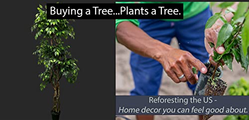 6.5' Tall Ficus Tree - Realistic Faux Plant