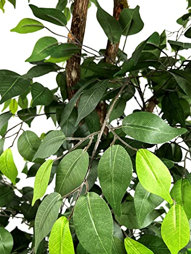 6.5' Tall Ficus Tree - Realistic Faux Plant