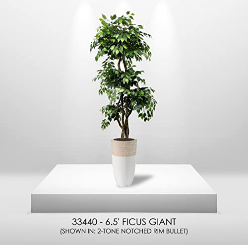 6.5' Tall Ficus Tree - Realistic Faux Plant