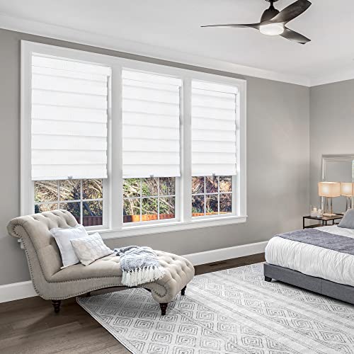 CHICOLOGY Zebra Blinds, Roller Window Shades, Blinds for Windows, Roller Shades for Windows, Window Shades for Home, Window Shades, Pull Down Shades for Windows, 69" W X 72" H, Basic Arctic