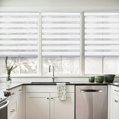CHICOLOGY Zebra Blinds, Roller Window Shades, Blinds for Windows, Roller Shades for Windows, Window Shades for Home, Window Shades, Pull Down Shades for Windows, 69" W X 72" H, Basic Arctic