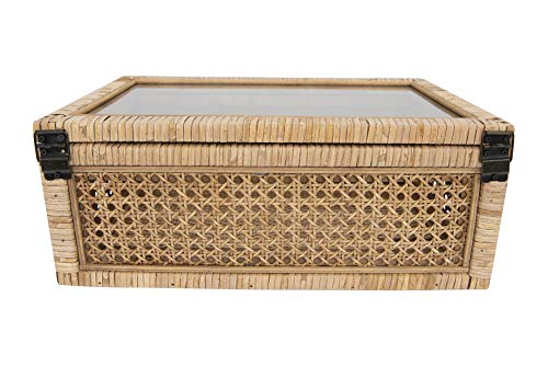 Creative Co-Op Cane and Rattan Display Boxes with Glass Lid, Set of 2