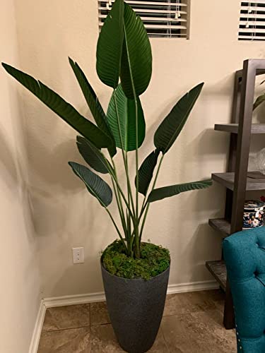 Silk Decor 5' Bird of Paradise Plant in Plastic Pot Green