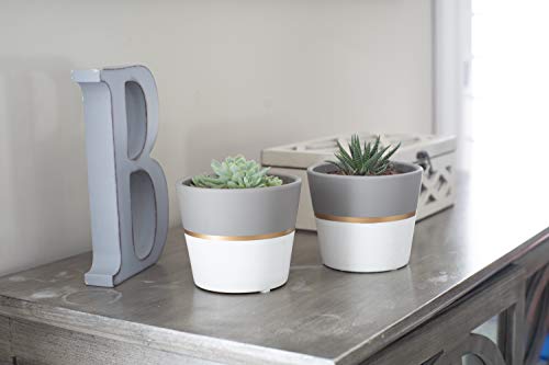 Costa Farms Succulents Fully Rooted Live Indoor Plant, 4-Inches Tall, White/Gold Ceramic Décor Planter