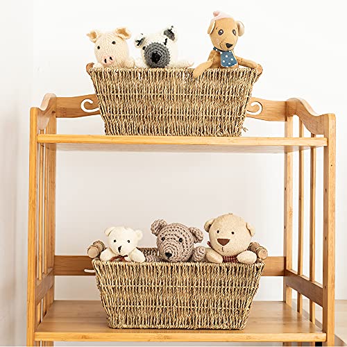 Handmade Woven Wicker Storage Baskets, 2-Pack, Seagrass Shelf Baskets for Organizing & Sorting, Toilet Paper Towel Holder Basket with Wooden Handles, Iron frame, 11.8" x 10.2" x 4.8"