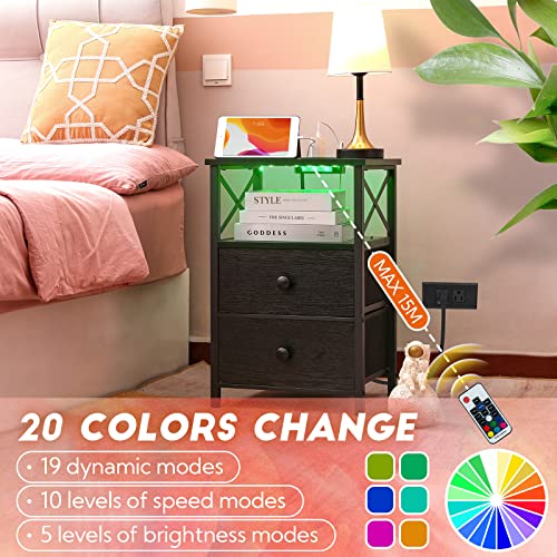 AMHANCIBLE LED Nightstands Set of 2, End Tables Living Room with Fast Charging Station, Bedside Table with USB C Charger Port and Power Outlet, Night Stand with 2 Drawers for Bedroom HET052LBK