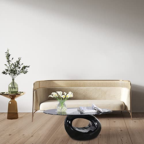 Oval Glass Coffee Table with Tempered Glass Top High Gloss Hollow Storage Shelf Base Modern Stylish Center Table Easy to Clean for Home Living Room Bedroom Office Black