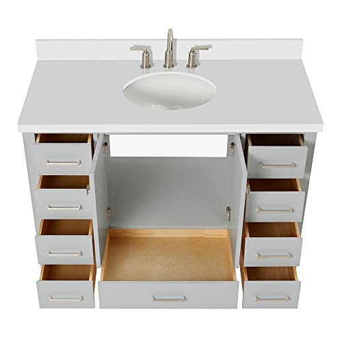 ARIEL 49" Inch Grey Bathroom Vanity with Pure White Quartz Countertop | Oval Sink | 2 Soft Closing Doors and 9 Full Extension Dovetail Drawers | No Mirror