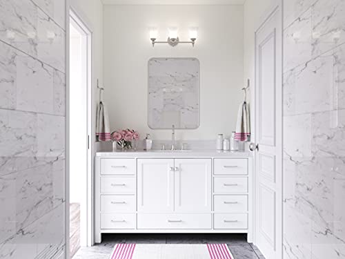 ARIEL 61" Inch White Bathroom Vanity with Pure White Quartz Countertop | Oval Sink | 2 Soft Closing Doors and 9 Full Extension Dovetail Drawers | No Mirror