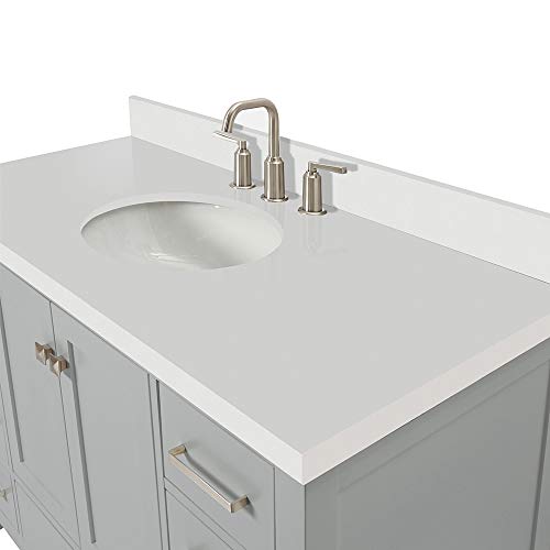ARIEL 49" Inch Grey Bathroom Vanity with Pure White Quartz Countertop | Oval Sink | 2 Soft Closing Doors and 9 Full Extension Dovetail Drawers | No Mirror