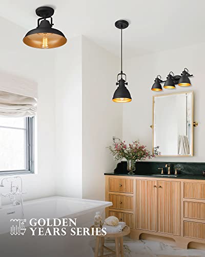 Audickic Industrial Bathroom Vanity Lamp, 3-Light Wall Mounted Vanity Lighting Fixture Over Mirror, Black Metal Frame, AD-2152-3W