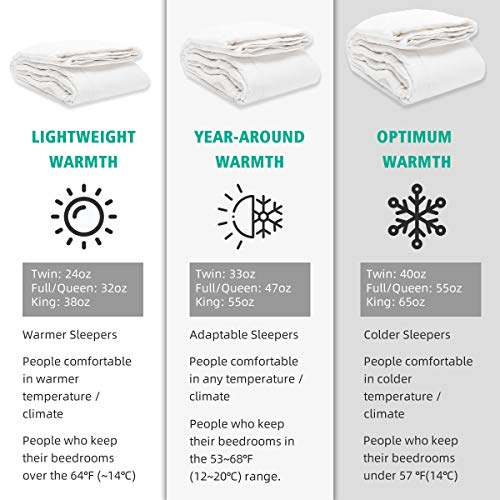 APSMILE Ultra-Soft Goose Down Comforter, California King