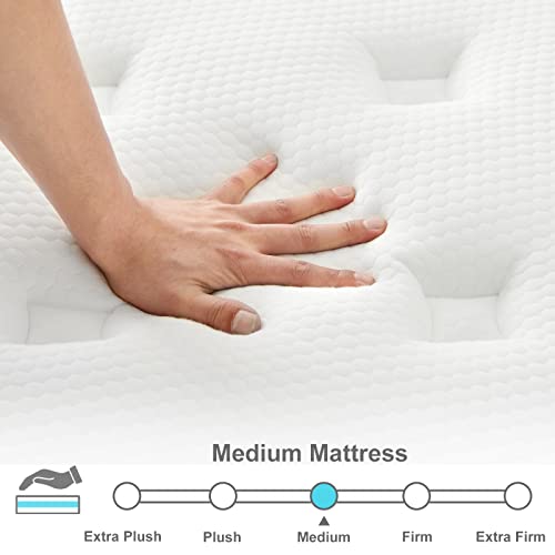 IYEE NATURE Queen Mattresses, 14 Inch Queen Size Hybrid Mattress Individual Pocket Springs with Foam,Queen Bed in a Box with Breathable and Pressure Relief,Medium Soft,Bule