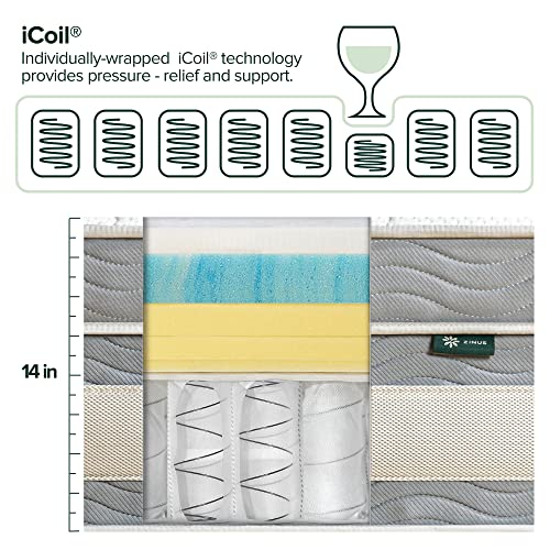ZINUS 14 Inch Green Tea Cooling Gel Memory Foam Hybrid Mattress / Pocket Innersprings for Motion Isolation / Edge Support, Queen, White
