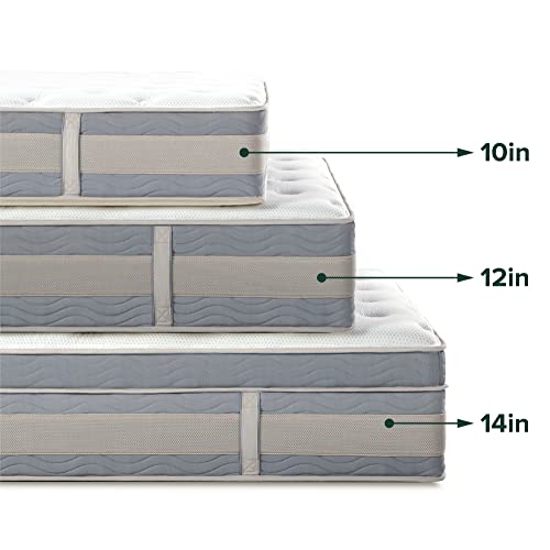 ZINUS 14 Inch Green Tea Cooling Gel Memory Foam Hybrid Mattress / Pocket Innersprings for Motion Isolation / Edge Support, Queen, White