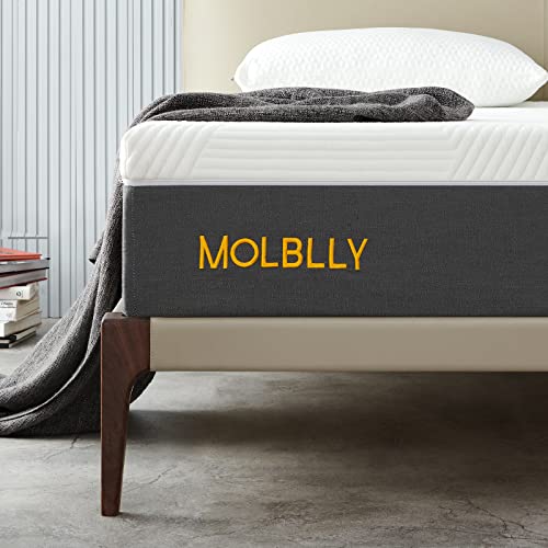 Molblly 14 Inches Queen Size Mattress, Gel Memory Foam Mattress in a Box, Back Pain Relief & Cool Bed, 10-Year Support Mattress, Fiberglass Free, Ultimate Motion Isolation, Premium Queen Bed