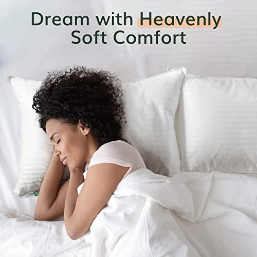 Fern and Willow Pillows for Sleeping - Set of 2 Standard Size/Kids Size Down Alternative Pillow Set w/Luxury Plush Cooling Gel for Side, Back & Stomach Sleepers