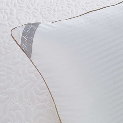 Isotonic Indulgence Synthetic Down Pillow | Back & Stomach Sleeper (Standard/Queen)