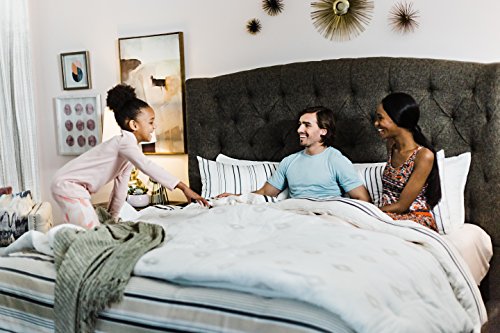 Signature Design by Ashley Chime 10 Inch Firm Memory Foam Mattress, CertiPUR US Certified, Queen
