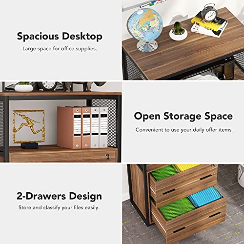 Rustic 2 Drawer Lateral File Cabinet with Lock