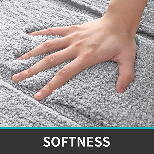 DEXI Bathroom Rug Mat, Extra Soft Absorbent Premium Bath Rug, Non-Slip Comfortable Bath Mat, Carpet for Tub, Shower, Bath Room, Machine Wash Dry, 16"x24", Light Grey