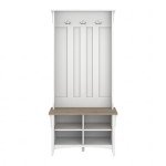 Bush Furniture Salinas Hall Tree with Shoe Storage Bench, Pure White and Shiplap Gray