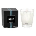 NEST Fragrances Ocean Mist & Sea Salt Scented Classic Candle