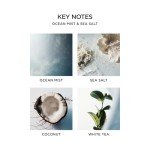 NEST Fragrances Ocean Mist & Sea Salt Scented Classic Candle