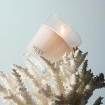 NEST Fragrances Ocean Mist & Sea Salt Scented Classic Candle