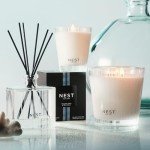 NEST Fragrances Ocean Mist & Sea Salt Scented Classic Candle